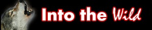 ITW Logo ITW Logo2 Into the Wild Retreat Program