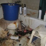 disgusting bathroom