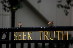 seek truth